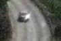 Silver Car