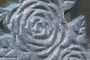 Iron Rose