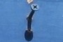 Drywall screw