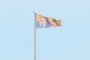 Royal Standard