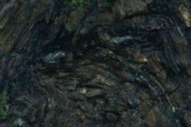 218262-210x140