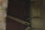 Back Door