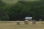 Old outhouses built to accommodate guests during a celebration on the ranch.