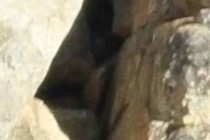 228979-210x140