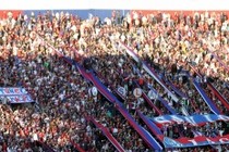 219339-210x140