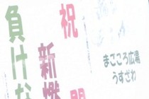 219501-210x140