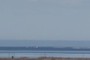 The Last of the Sea Ice