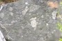Clasts