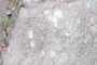 A good look at some clasts