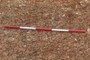 Ranging pole
