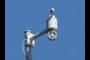 Anemometer