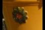 Flower pot flower