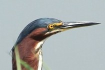 220105-210x140