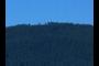 Peak of Marys Peak