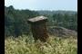 Chimney