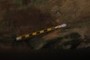 cm-scale pencil