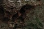 Tafoni