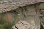 Cross-bedded Sandstone