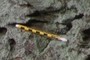cm-enabled pencil for scale