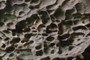 Tafoni
