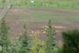 Elk Ranch