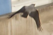 220605-210x140