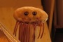 Mr. E. coli