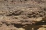 Conglomerate