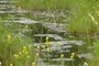 Water flow