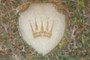 Inlay 2