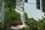 Weird Fountain