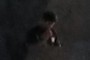 Author or Apparition