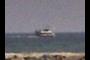 Catamaran Golondrina