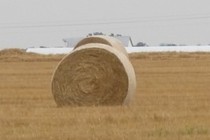222087-210x140