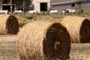 Bolas de paja