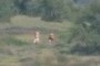 Hikers