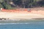 Monk seal enclosure fence