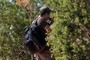 Hiker