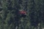 Cant tell what this is ?