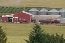 222985-210x140