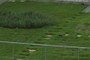 Litle garden