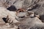 Painted Desert