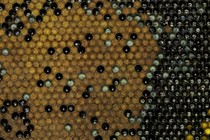 223994-210x140