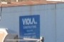 VIOLA