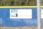 phone number
