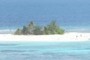 Small Island