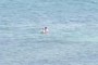 Swimmers