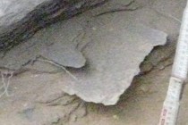 224123-210x140