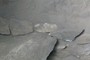 Artificial Barrier