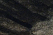 243290-210x140